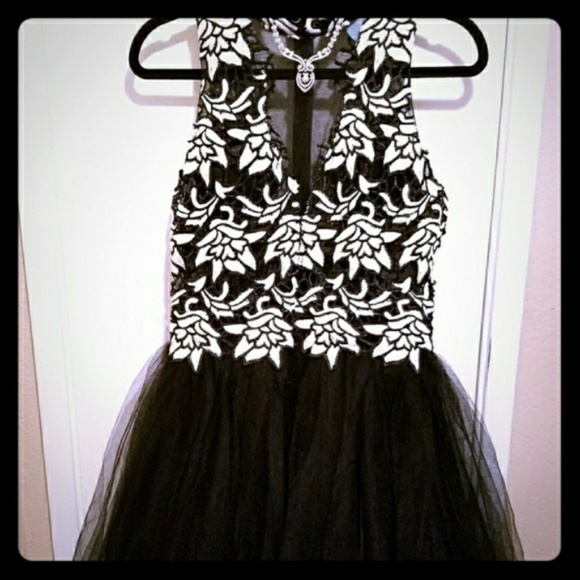 (New With Tags) Romantic Tulle Skirt Dress (M) - Picture 3 of 3